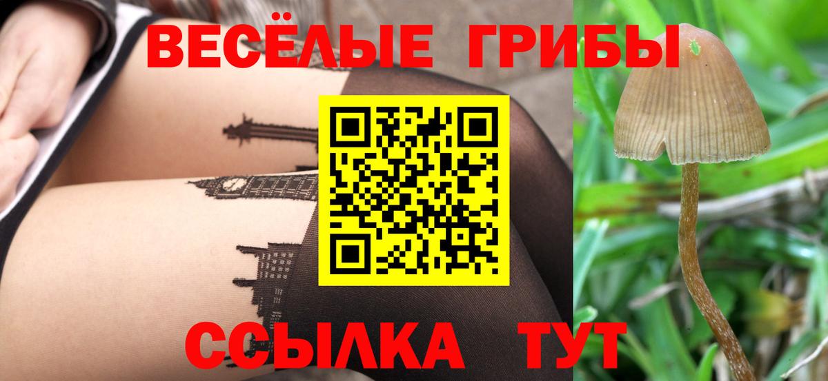 Галлюциногенные грибы MAGIC MUSHROOMS  Вход с VPN  Псилоцибиновые грибы GOLDEN TEACHER  Тихорецк 