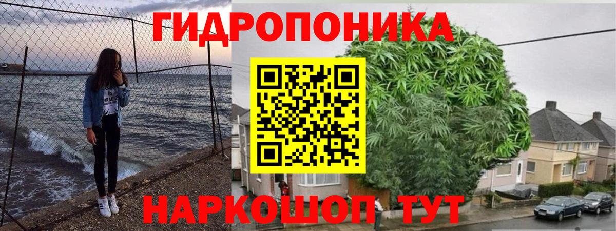 Каннабис сатива Тихорецк